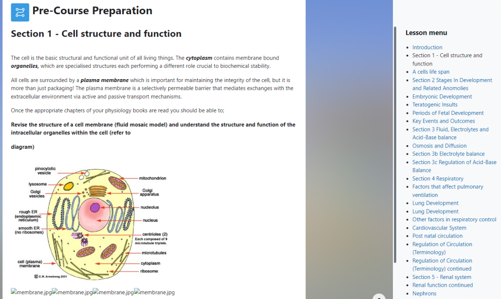 Moodle Lesson - Student view showing content page