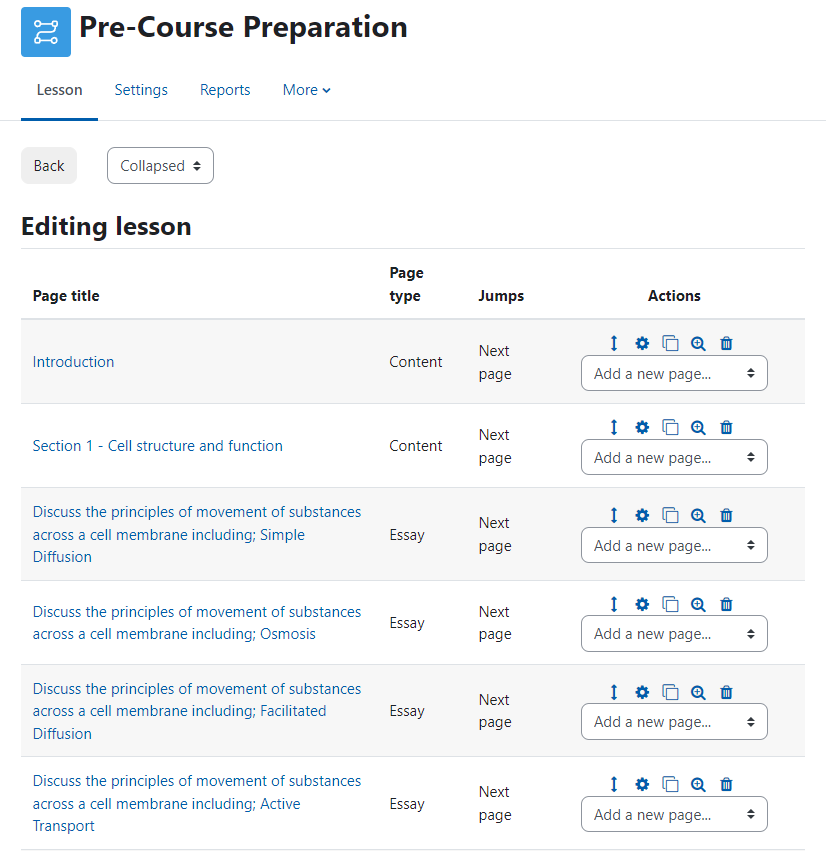 Moodle Lesson - Staff setup demonstrating page types available and other options such as branching