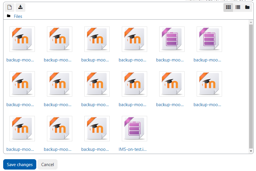manage backup files