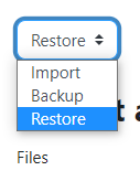 The restore option