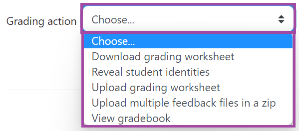 Screenshot of the 'Grading action' drop-down list (highlighted) under a submission point.