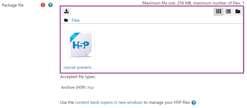 Screenshot of the display of the 'Package file' setting (highlighted) in an H5P activity.
