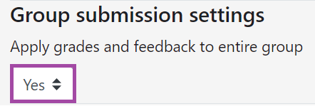 Screenshot of the group submission setting (highlighted) in relation to grades under the Grading window.