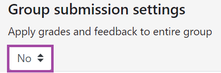 Screenshot of the 'Grade' setting (highlighted) in the Grading window of a student submission.