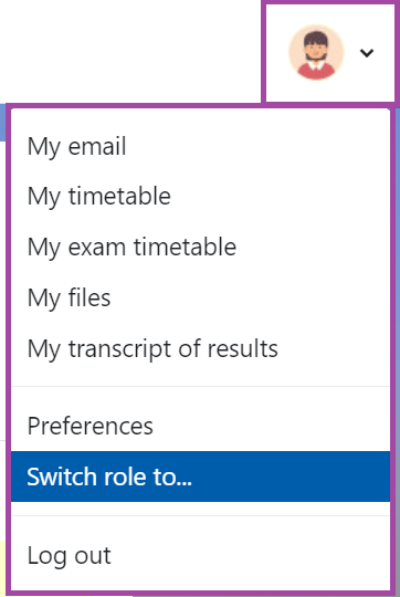 Screenshot of the display of the ‘Switch role to…’ option (highlighted) under a DLE profile.