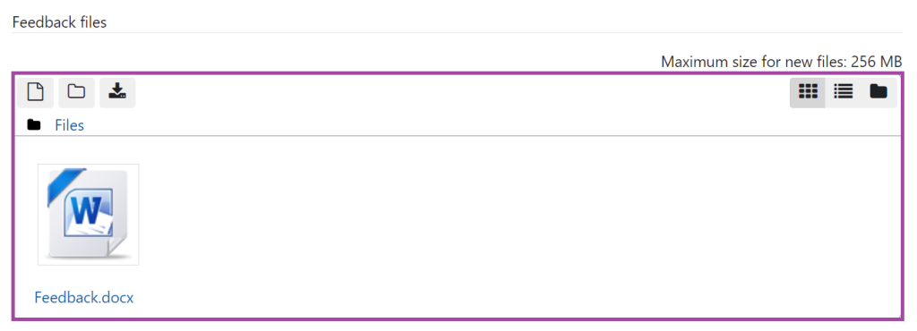 Screenshot of the 'Feedback files' box (highlighted) in the Grading window of a student submission.