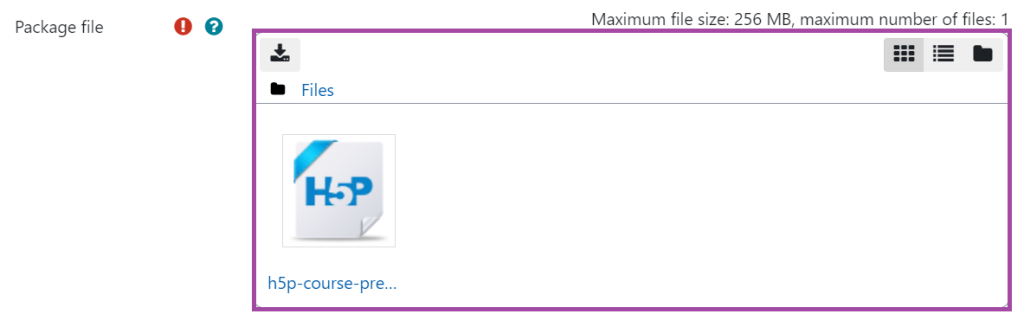 Screenshot of the display of the 'Package file' setting (highlighted) in an H5P activity.