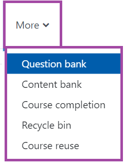 Screenshot of the display of the 'More' drop-down list (highlighted) in a DLE page.