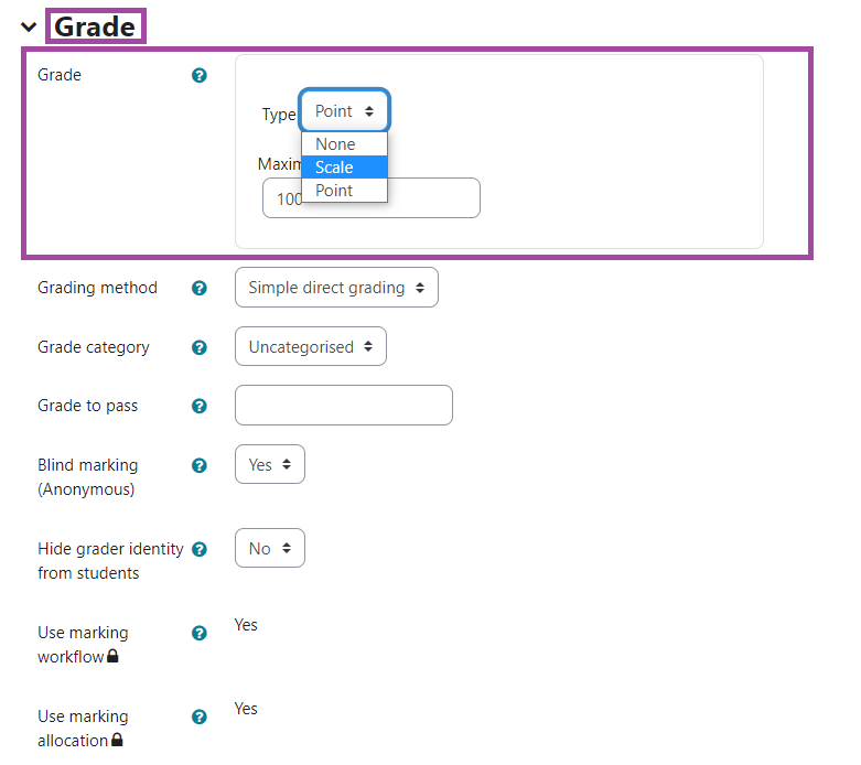 Screenshot of the 'Grade' within an assignment.