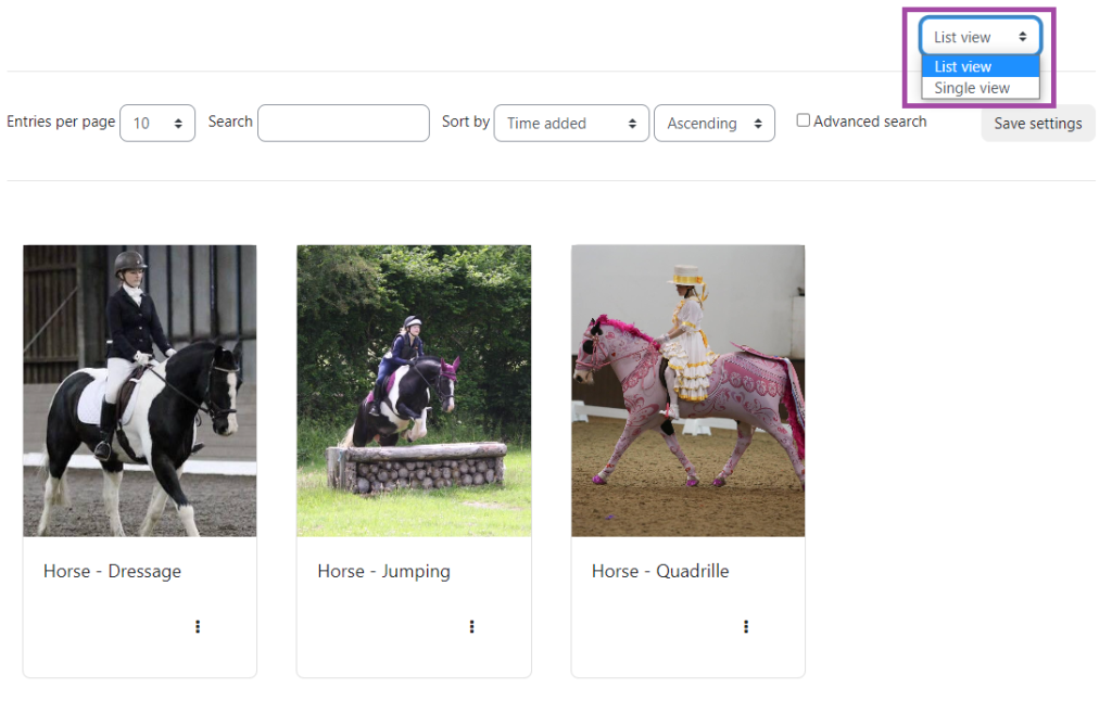 Screenshot of the image database. Include three pictures of horses and the viewing settings highlighted.