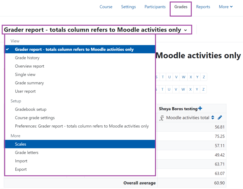 Screenshot of the 'Grades' menu (highlighted) and the 'Grader report' drop-down list (highlighted) under a Moodle course.