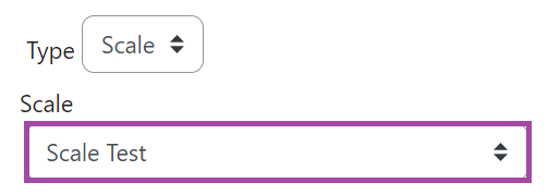 Screenshot of the 'Scale' drop-down list (highlighted) in the settings of a submission point.