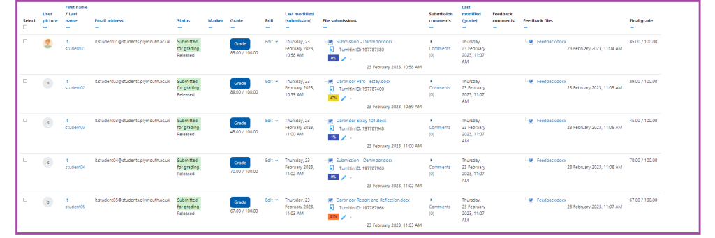 Screenshot of the display of the grading table (highlighted) within an ‘Assignment’ activity.