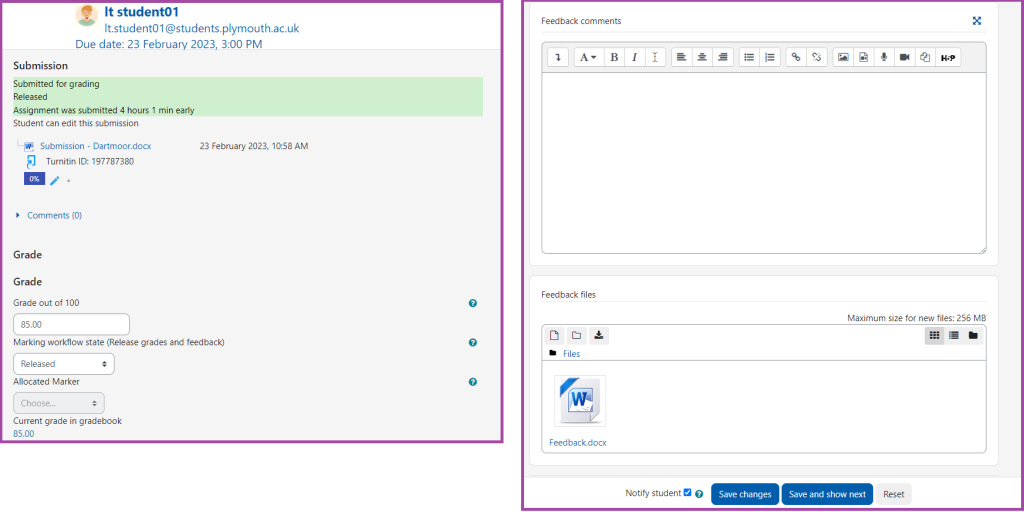 Screenshot of the display of the grading page (highlighted) of a student submission.