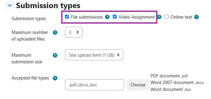 Screenshot of the ‘File submissions’ and ‘Video Assignment’ boxes (highlighted).
