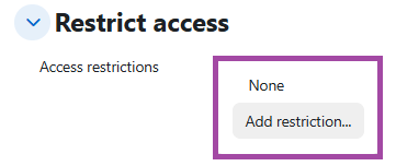 Screenshot of the ‘Restrict access’ section (highlighted) within a submission point.