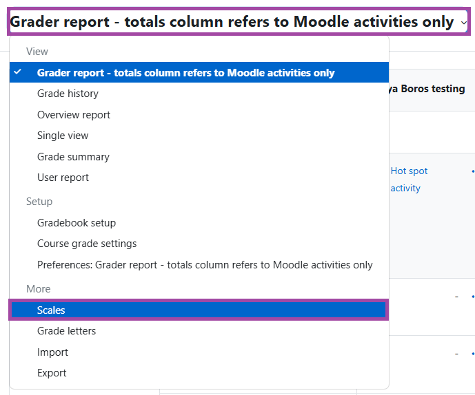 Screenshot of the the grader report dropdown highlighted