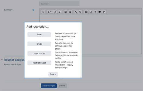 A screenshot showing Restrict Access Options menu