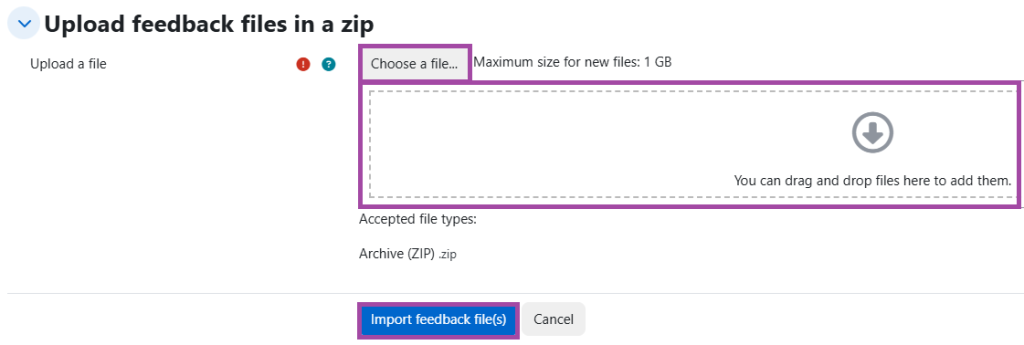 Screenshot of the upload process of feedback files in the DLE (highlighted).