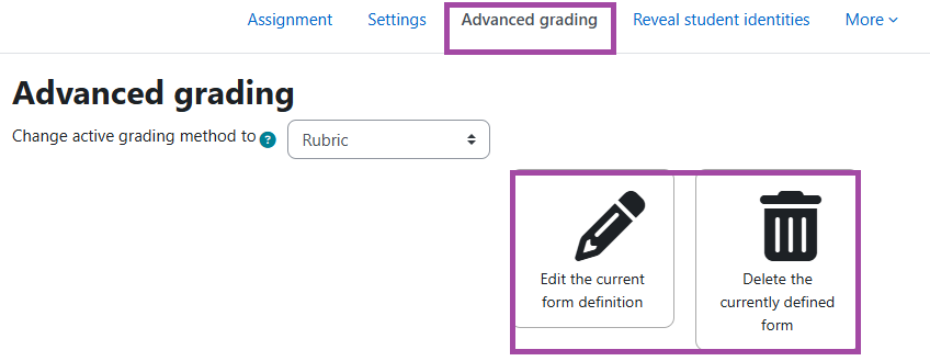 Screenshot of the ‘Advanced grading’ menu after a rubric has been created (highlighted).
