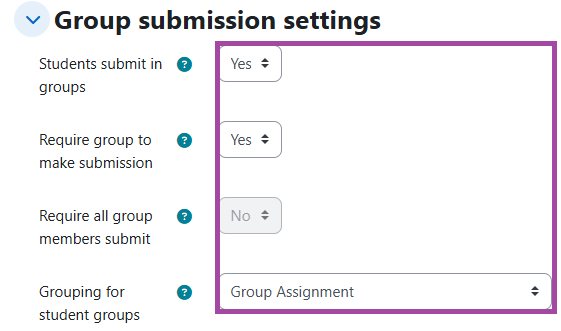 Screenshot of the ‘Group submission settings’ section (highlighted).