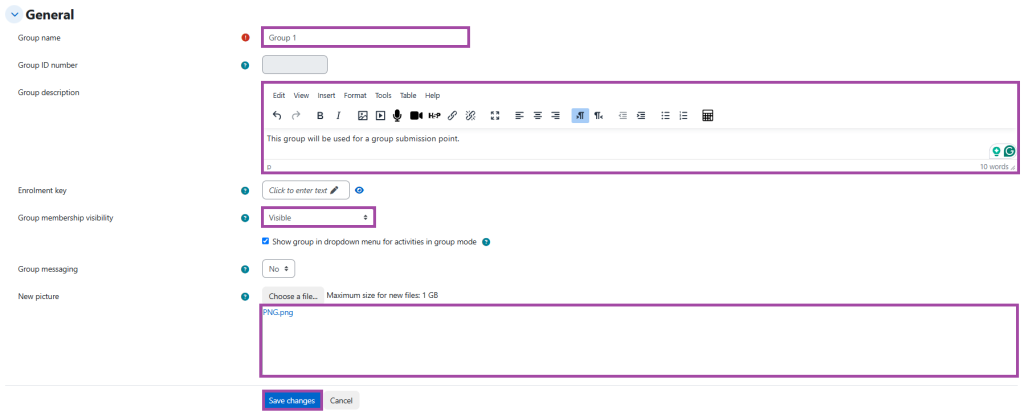 Screenshot of the group settings (highlighted) in the DLE/Moodle.