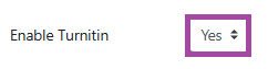 Screenshot of the ‘Enable Turnitin’ setting, highlighting ‘Yes’.