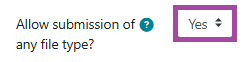 Screenshot of the ‘Allow submission of any file type’ setting highlighting, ‘Yes’.