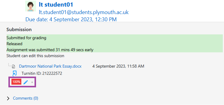 Screenshot of the Grading window and the blue pencil icon of Turnitin (highlighted).