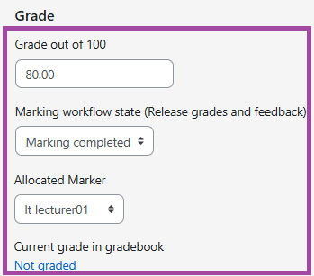 Screenshot of the ‘Grade’ section (highlighted) within the Grading window.