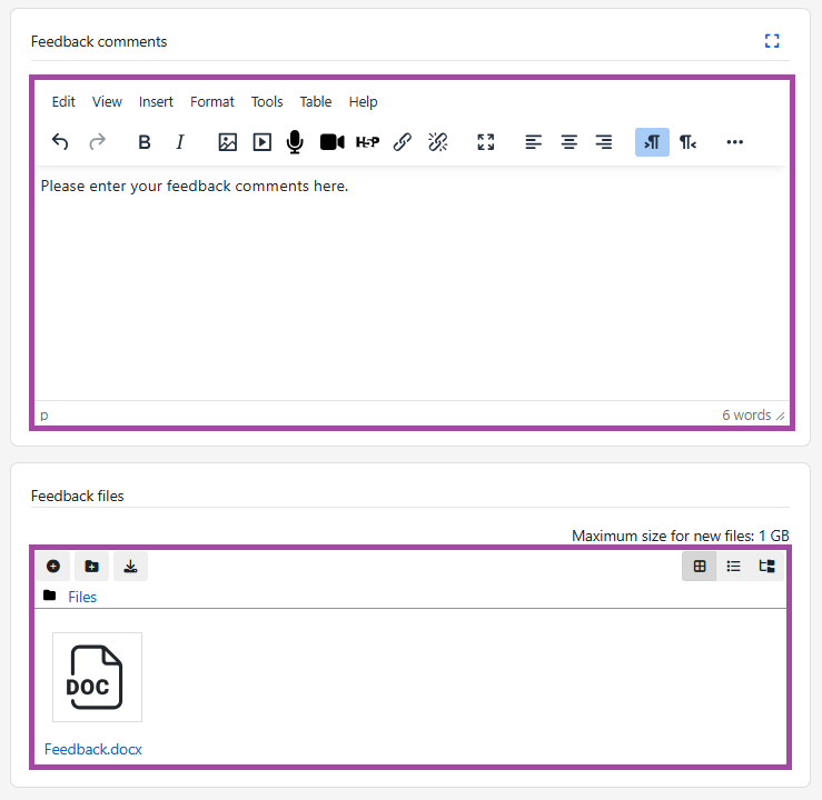 Screenshot of the ‘Feedback’ section (highlighted) within the Grading window.