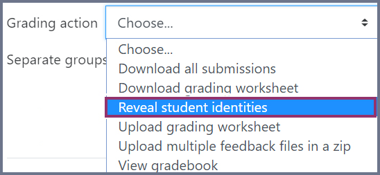 moodle assignment release grades