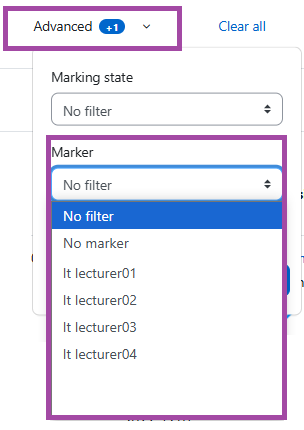 Screenshot of the ‘Marker’ filter (highlighted) within a submission point.