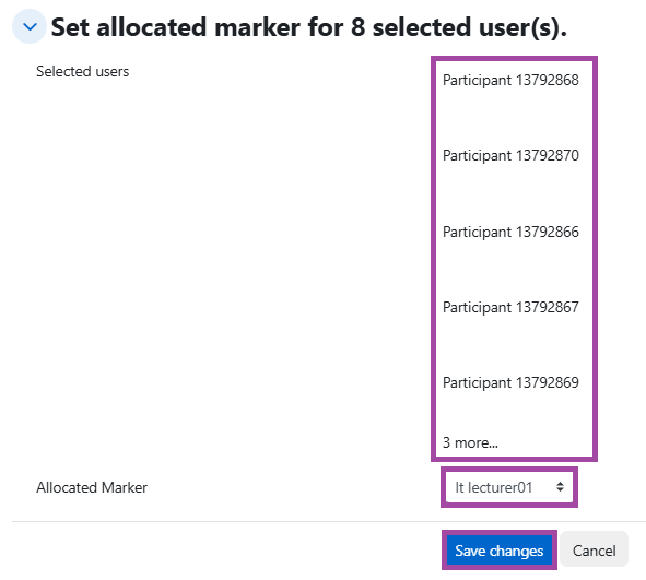 Screenshot of the ‘Allocated Marker’ setting and the ‘Save changes’ button (highlighted).