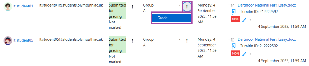 Screenshot of the ‘Grade’ button (highlighted) under a group submission point.