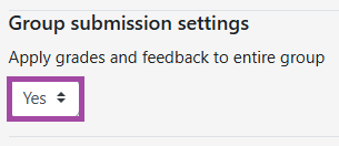 Screenshot of the ‘Group submission settings’ set to ‘Yes’ (highlighted).