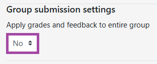 Screenshot of the ‘Group submission settings’ set to ‘No’ (highlighted).