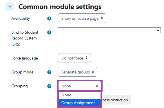 Screenshot of the 'Grouping' setting (highlighted).