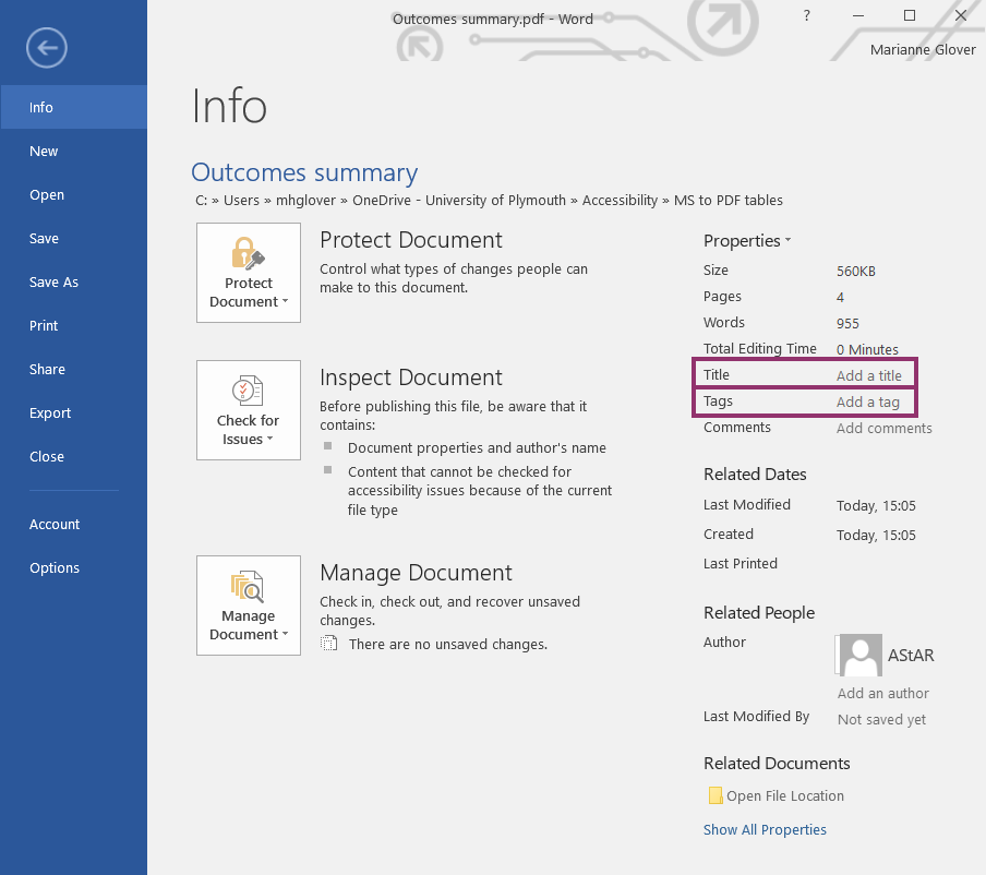 Screenshot of Microsoft word info section, Highlighting, Title and Tags.  