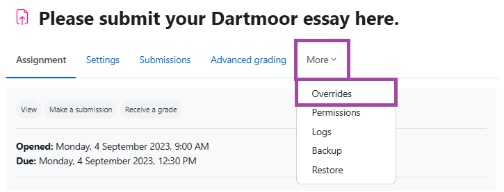 Screenshot of the ‘More’ and ‘Overrides’ menus (highlighted) within a submission point.