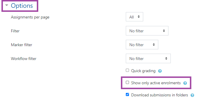 Screenshot of the display of the active enrolment submissions box (highlighted) of the ‘Options’ section (highlighted) under an ‘Assignment’ activity within a DLE course.