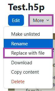 Screenshot of the ‘Replace with file’ option (highlighted).