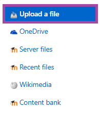Screenshot of the ‘Upload a file’ button (highlighted) within the ‘File Picker’ of the DLE.