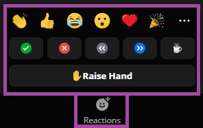 Screenshot of the display of the ‘Nonverbal Feedback’/’Reactions’ menu (highlighted) within a Zoom meeting.