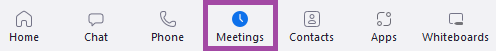 Screenshot of the display of the ‘Meetings’ menu within the Zoom application.