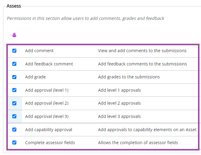 Screenshot of the display of the permissions being ticked/turned on (highlighted) under the ‘Assess’ section in the ‘Externals’ sub-menu. 