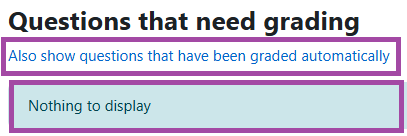 Screenshot of the questions that can be manually marked (highlighted).