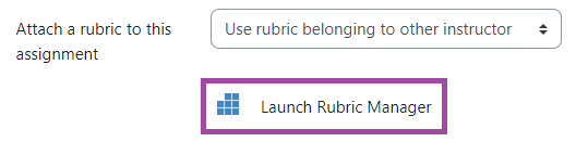Screenshot of the display of the 'Launch Rubric Manager' button in the settings of a submission point.