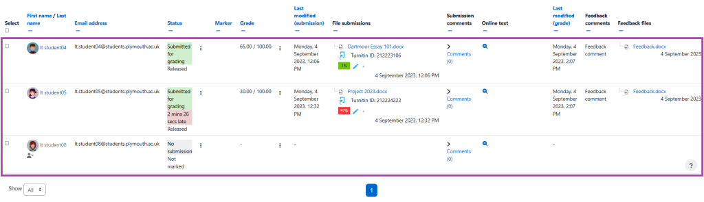 Screenshot of the display of the grading table (highlighted) within an ‘Assignment’ activity.
