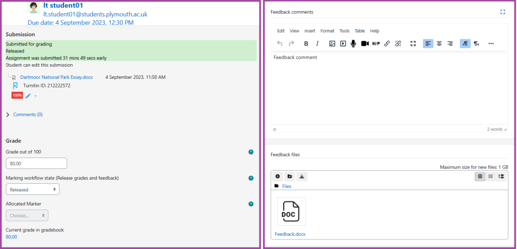 Screenshot of the display of the grading page (highlighted) of a student submission.
